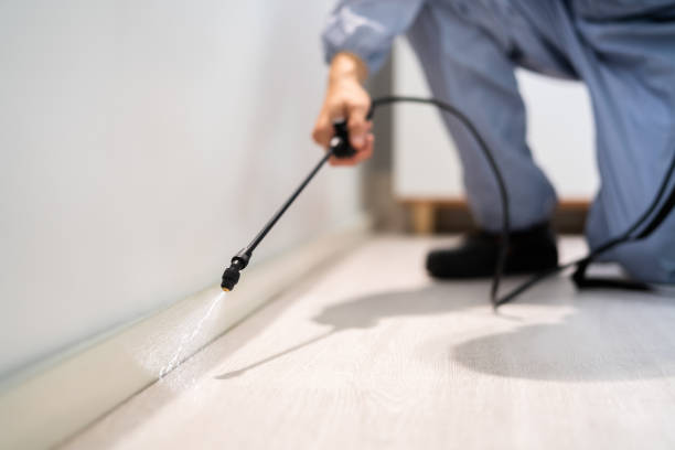 Licensed Pest Control service in Inez, TX - Show Me Pest Control