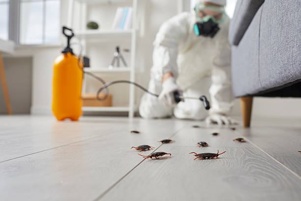 Commercial Kitchen Cockroach Control in Inez